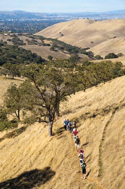 Hikers on golden hills